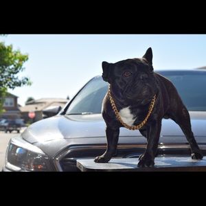 Meet your Posher, Eddie